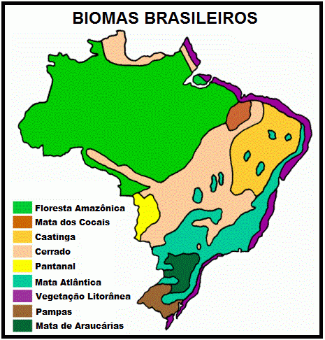 Resultado de imagem para nove biomas brasileiros ibge